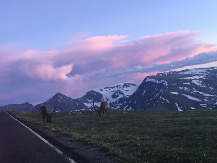  하루 한 줄 좋은 글과 기억 속 사진들 Tundra Area in Rocky Mountain Colorado USA