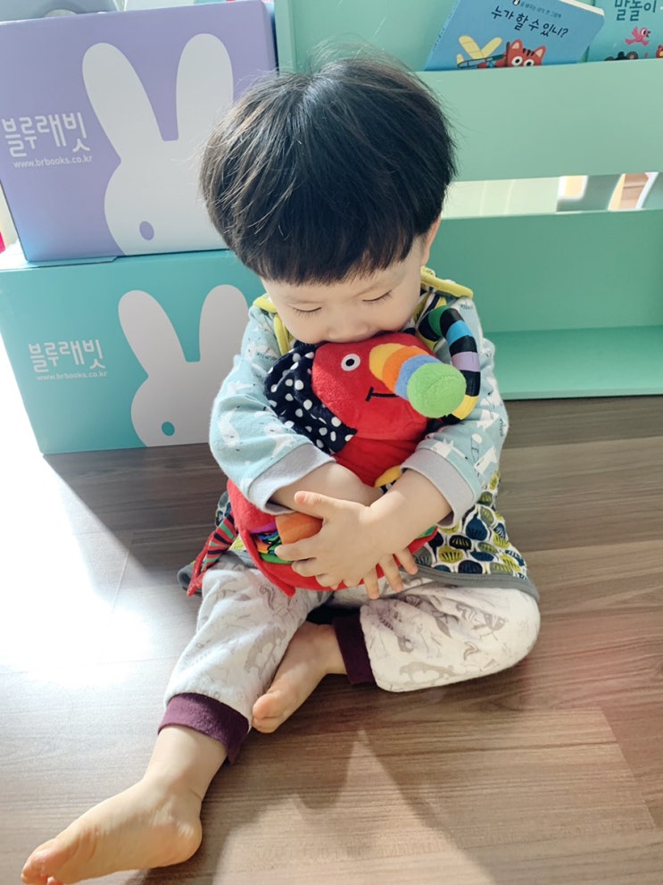  아기전집 토이북 촉감인형 아기코끼리 코야와 함께해요, 블루래빗 홈쇼핑 예고