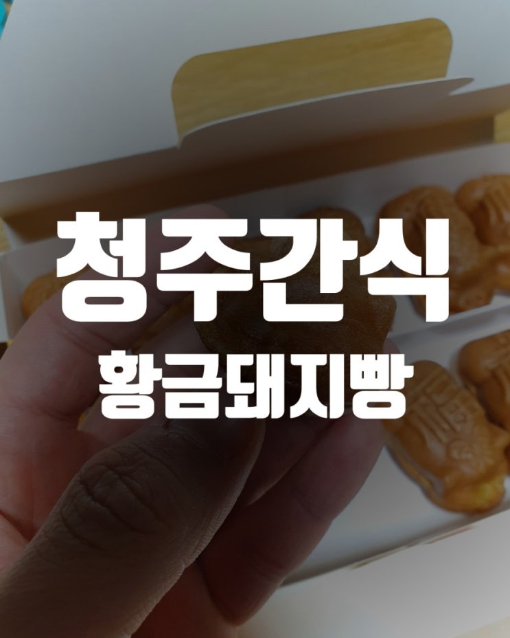  청주간식추천 청주빵 사창시장 으니의수라간 황금돼지빵 후기!