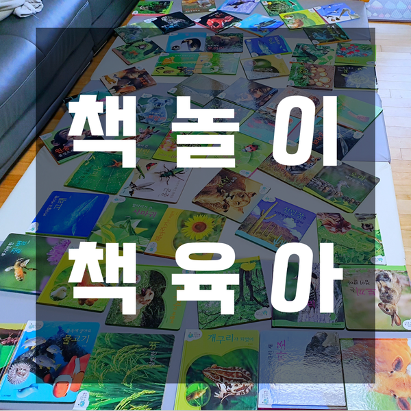  책 육아하는 엄마가 골고루 자연관찰 책 읽히는 법