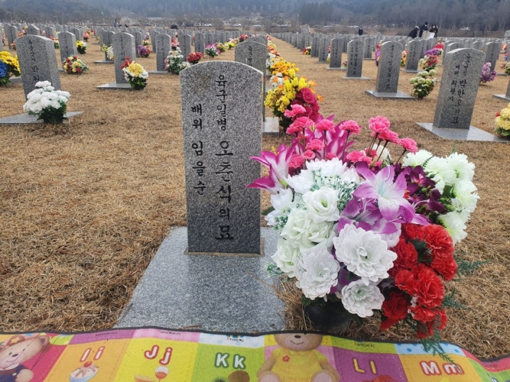  [냉풍욕장 할매농원] 성묘