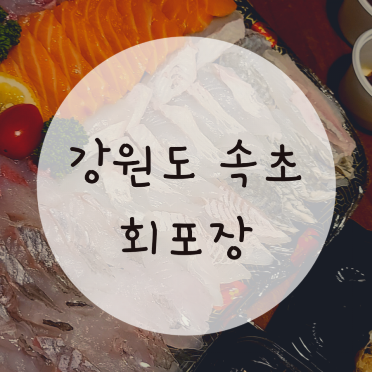 속초모듬회 아쿠아딜리버리 회포장 가성비가 좋다