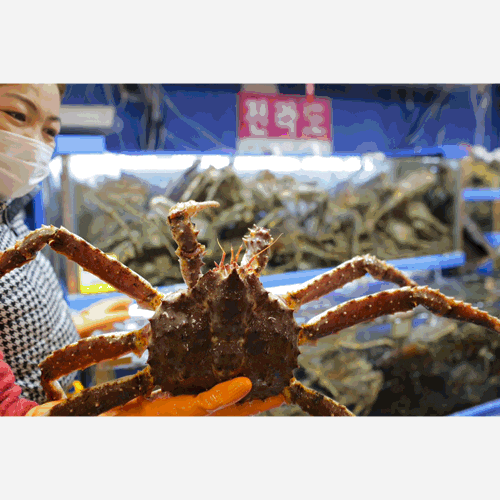 대게, 킹크랩, 랍스터 배달 가능한 노량진 수산시장 맛집 : 12호전라도 대게, 킹크랩, 랍스터 배달 가능한 노량진 수산시장 맛집 : 12호전라도