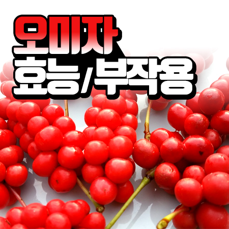  오미자 효능·부작용, 5가지 신비로운 맛 (+오미자차 만들기)