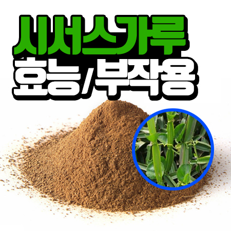  시서스가루 효능·부작용 주의 (+복용법)