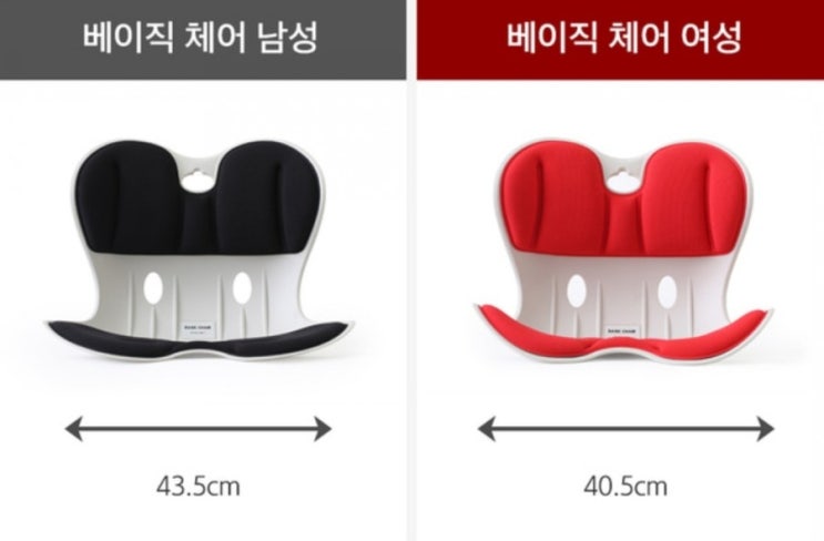  [로이첸_베이직체어]자세교정의자 추천