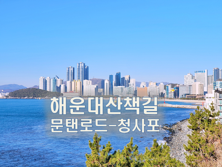  해운대 달맞이길 산책/문탠로드,청사포