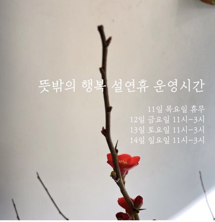  뜻밖의행복 설연휴 오픈 안내