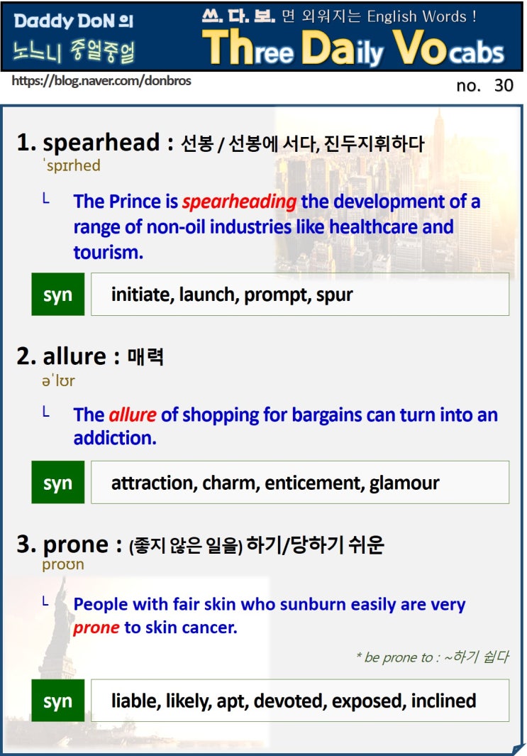  【영어】 쓰다보면 외워지는 영어 단어 - spearhead, allure, prone
