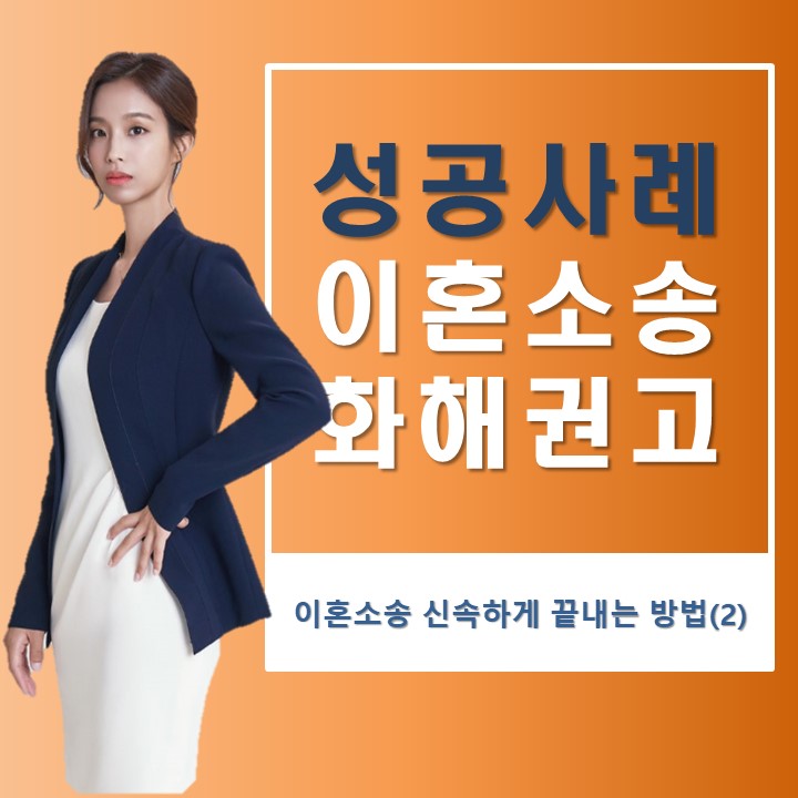  화해권고결정으로 위자료 지급 받고 이혼 소송 신속하게 끝낸 성공사례