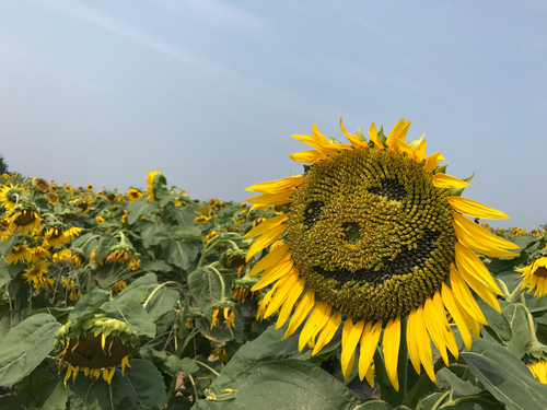  동대문구퀵서비스 바로 알려드릴게요!