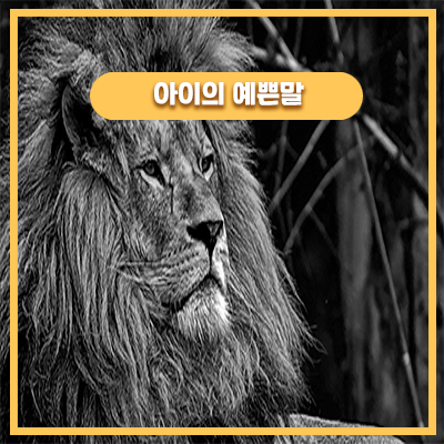  동물원에 가면