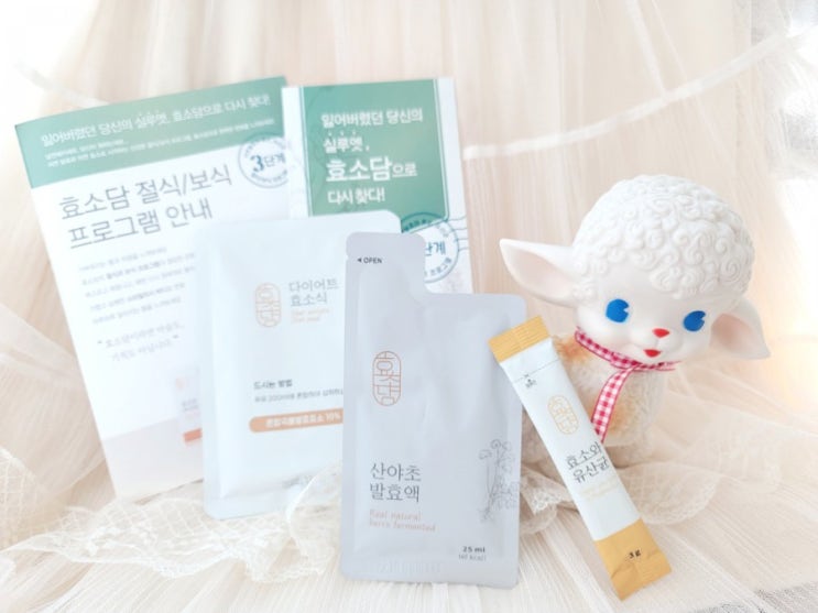  [제품후기]효소담-산야초 1주 프로그램