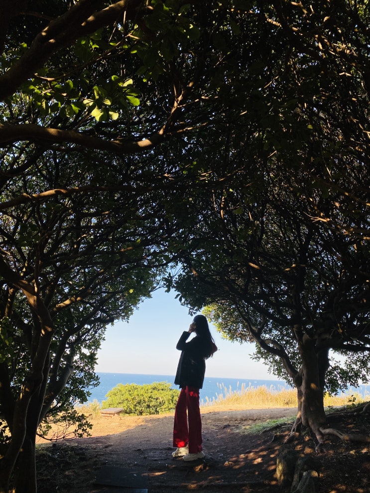  제주 서쪽 여행코스-3일차[제주와함께라면,그레이트J,랜디스도넛,몬스터살롱,탐나는농장,도두봉키세스존,도두동무지개해안도로]