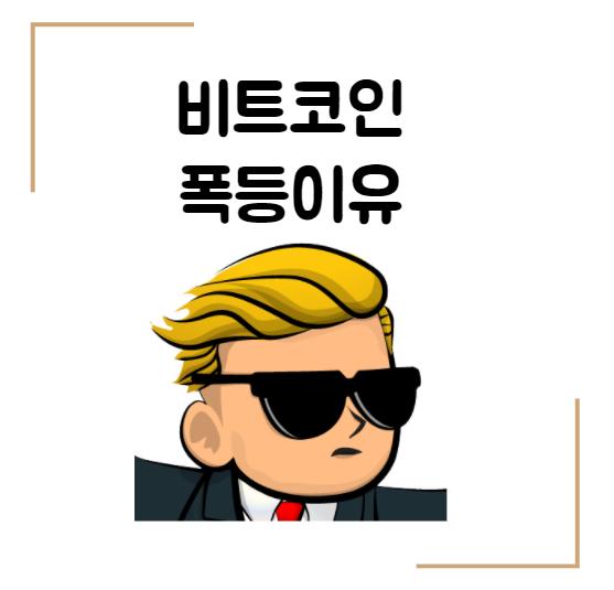  테슬라" 비트코인으로도 구매가능" 비트코인가격 4900층 돌파!! 일론머스크 영향?