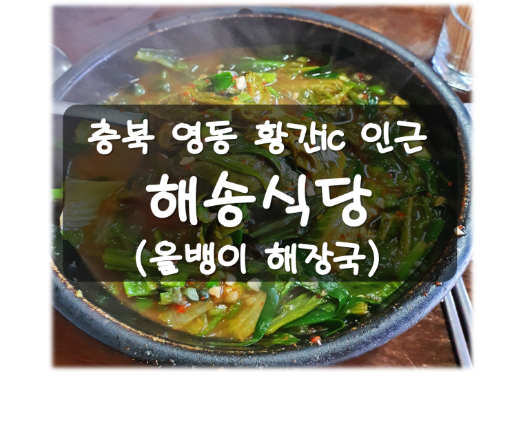  영동 황간 맛집 해송식당 뉴스프링빌2cc 인근 올뱅이(올갱이)국