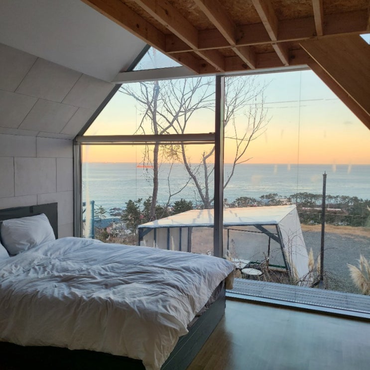  ʚ숙소ɞ 울산 핫한펜션&카페 '헤이메르 펜션'