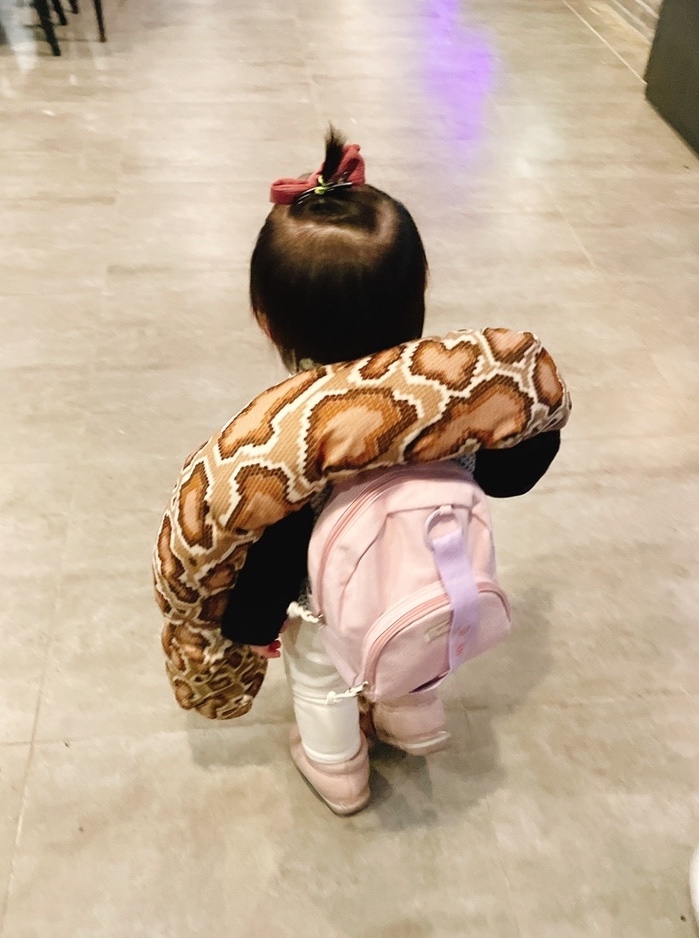  송도실내동물원 인더쥬 알파카보러오세요 지안이는겁없는아이