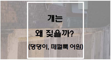  개는 왜 짖을까?(댕댕이, 떼껄룩 어원)