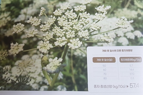 춘화식품 이미지