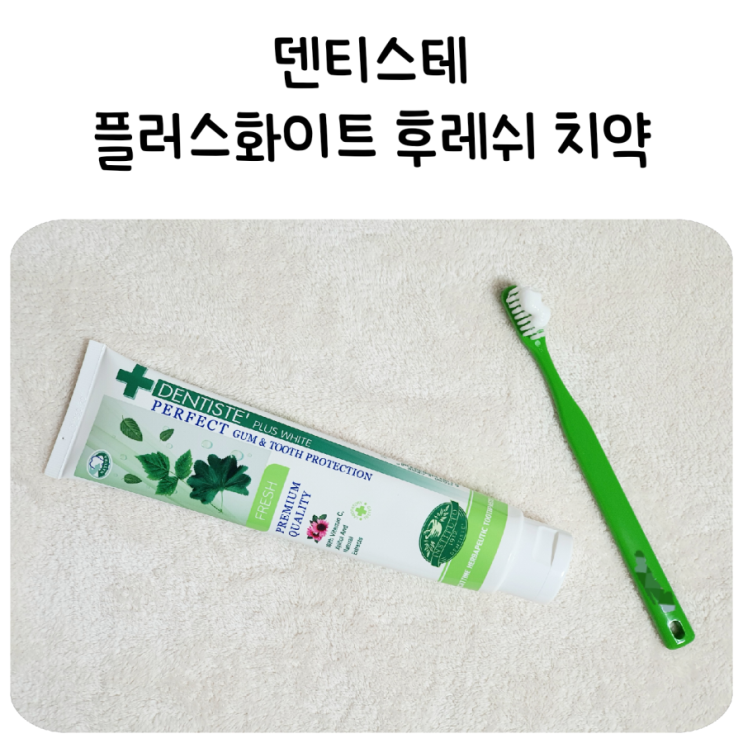  입냄새제거엔 덴티스테 후레쉬 치약! 쿠팡 로켓배송으로 빠르게 받아요!