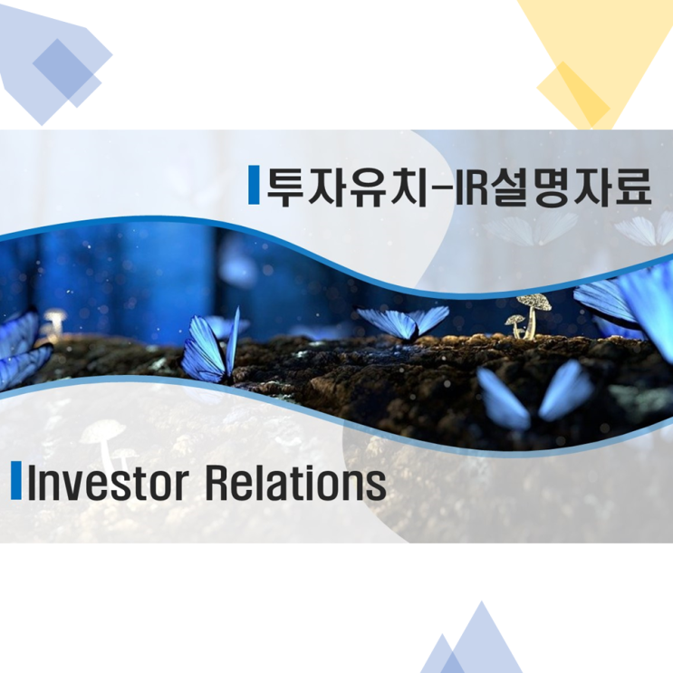투자유치 IR자료 매뉴얼(무료파일 공유) 투자유치 IR자료 매뉴얼(무료파일 공유)