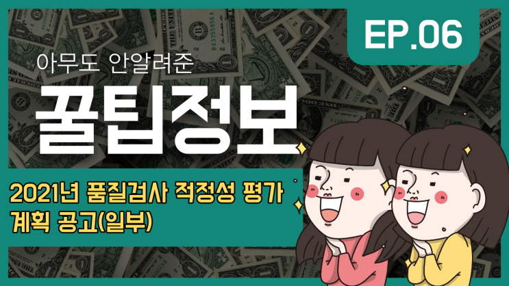  [품질검사 대행] 2021년 품질검사를 대행하는 건설기술용역사업자 적정성 평가계획(일부)