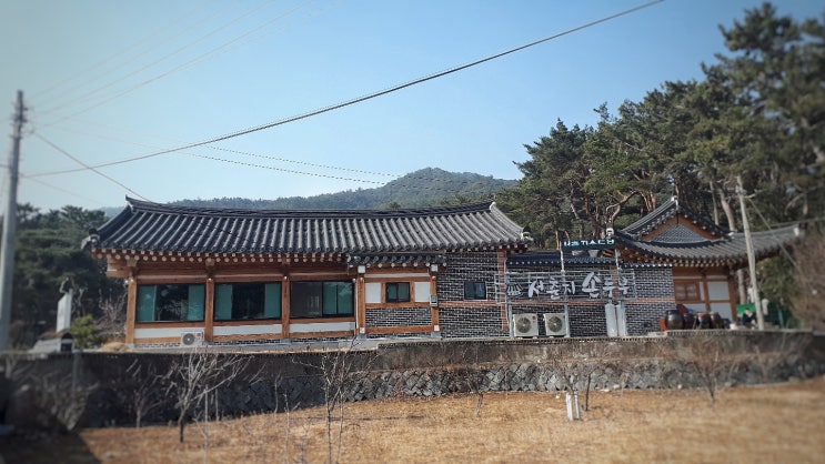  경주 통일전 현지인들이 찾는 맛집 서출지손두부