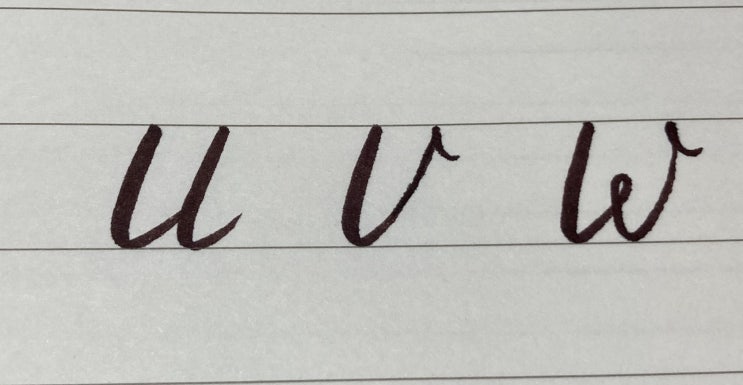  필기체 u, v, w 배우기