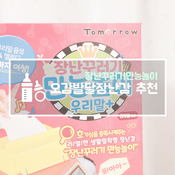  [체험단 후기] 8개월 아기 장난감 추천 투데코 장난꾸러기만능놀이 오감발달장난감이에요