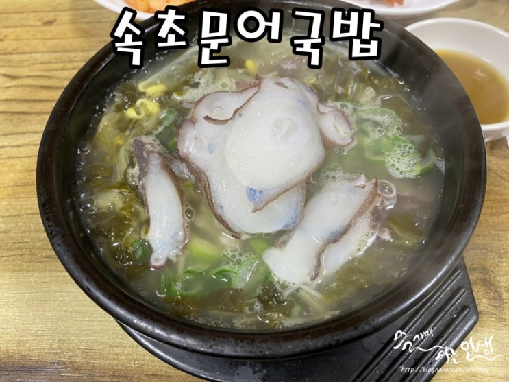 [속초 맛집] 속초중앙시장 맛집 속초 문어국밥
