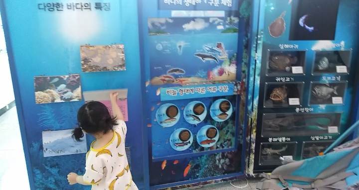  실감나는 해양동물체험 부산해양자연사박물관 아이와 가볼만한 곳: 부산여행
