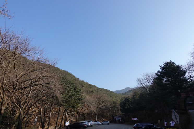  심장병 증상과 갑상선의 관계