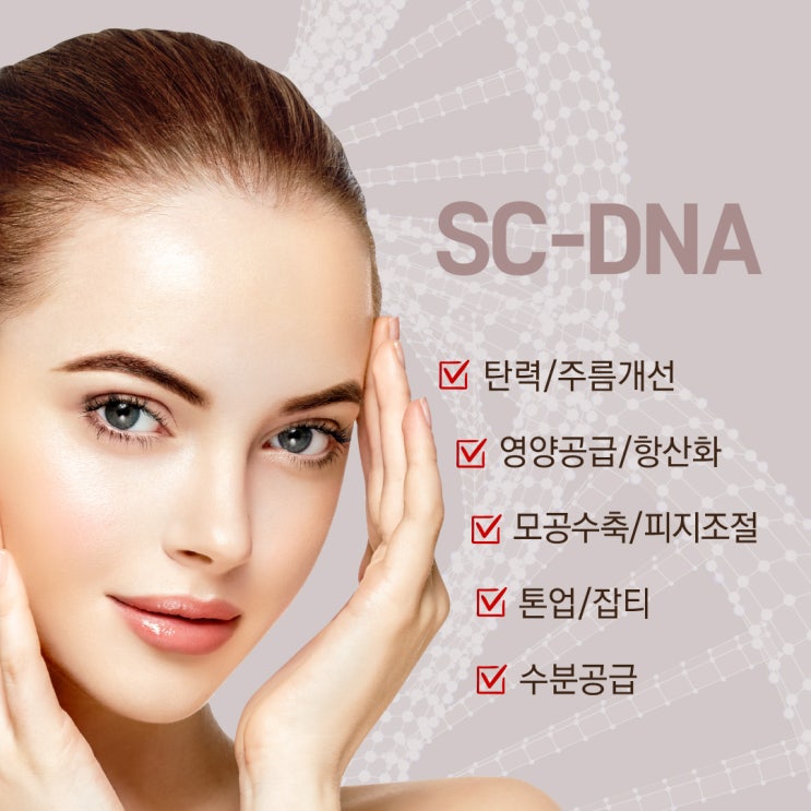  인체지방기질세포배양액과 연어정소DNA 성분의 SC-DNA 솔루션