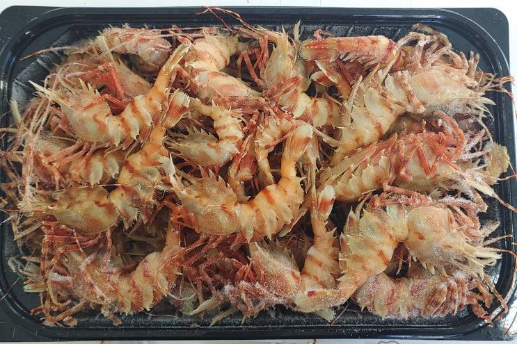 부산 독도새우 급냉(구이 및 찜용) 포장 판매