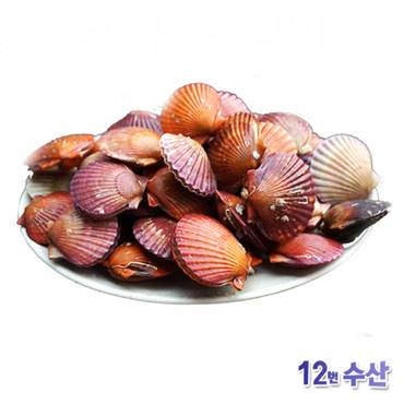  [추천특가] 통영12번수산 통영 가리비 17,900 원 ︎
