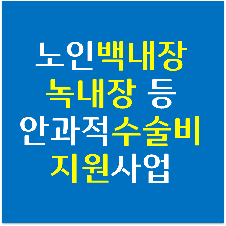  [노인복지] 백내장/녹내장 등 안과적 수술비 지원사업
