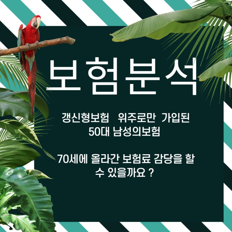  [보험분석]50대보험분석 - 70세에 갱신폭탄으로 돌아올 보험료