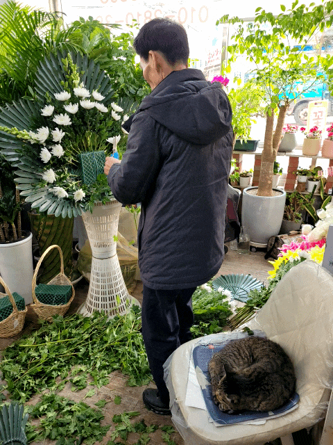  [부산영락공원/창원상복공원] 부산 화환 주문할 땐 꼭 정품마크 확인하셔요! 정품 근조 화환 26년경력 아트꽃월드. 양산부산대학교병원, 동남권원자력의학원, 근조 바구니, 오브제 화환