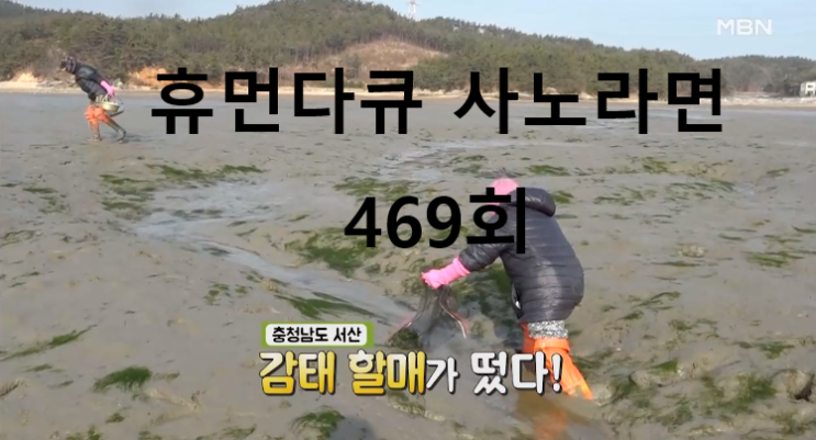  휴먼다큐 사노라면 469회 '모정이 뭐길래'