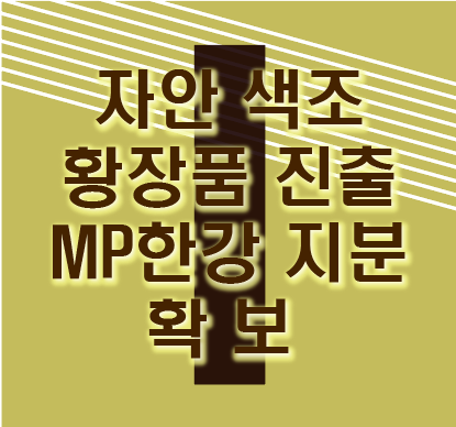  자안 주가 및 전망 MP한강 지분확보