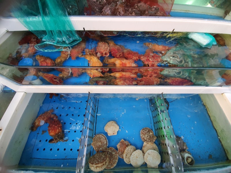 용인 수지 동천동 횟집 어장 강력추천 맛집 : 네이버 블로그