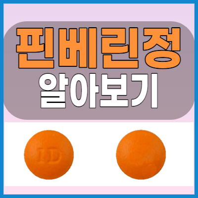  핀베린정 과민성대장증후군 등을 위한 진경제 알아볼까요?