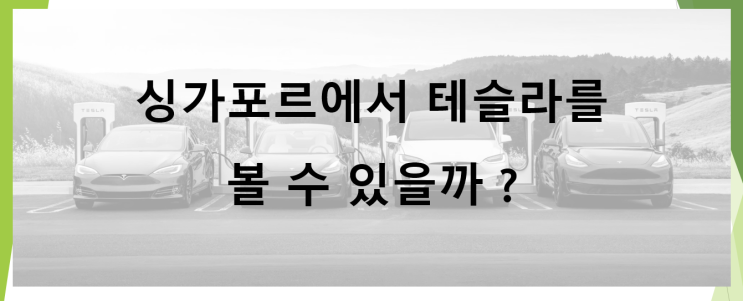  테슬라 싱가포르 진출합니다 (feat. 도요타 캠리보다 저렴, 과도한 환경오염으로 벌금내던 2016년)