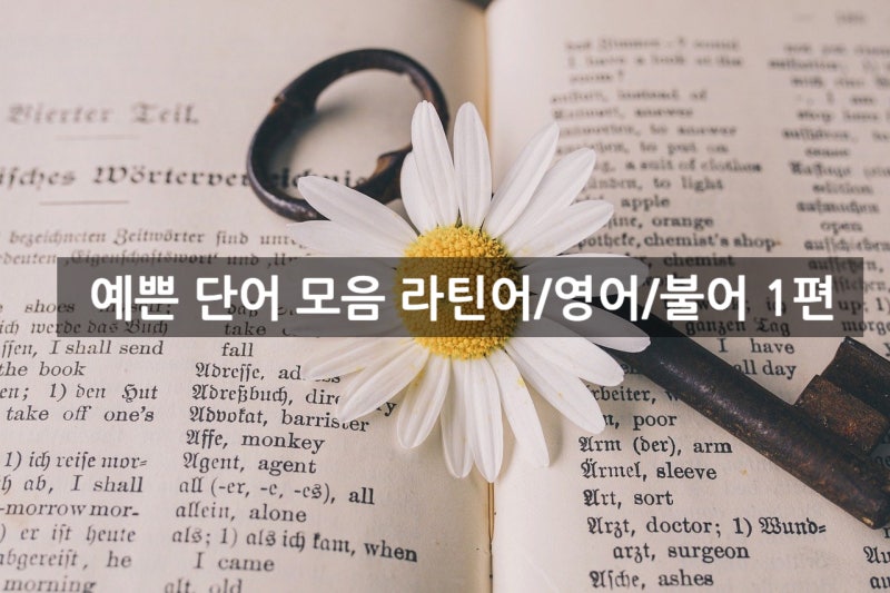 예쁜 단어 모음 라틴어/영어/프랑스어 1편(네이밍 할 때 좋음) : 네이버 블로그 예쁜 단어 모음 라틴어/영어/프랑스어 1편(네이밍 할 때 좋음) : 네이버 블로그