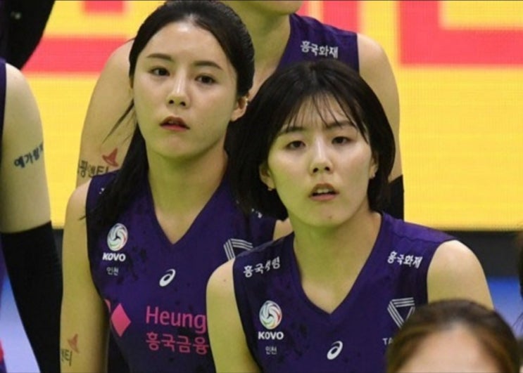 이다영 이재영 학폭 인정하고 결국 자필 사과, 쌍둥이 자매 논란 정리