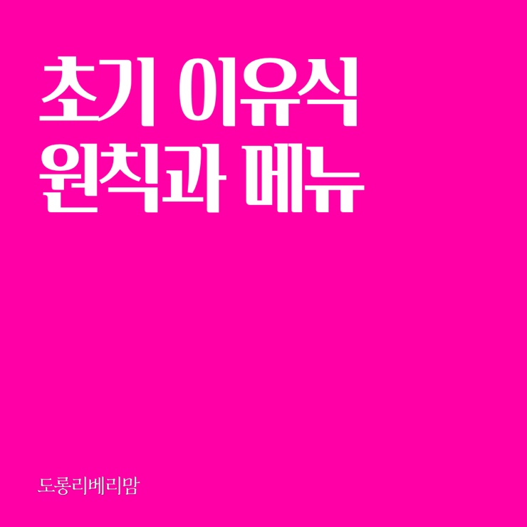  초기 이유식 원칙과 메뉴