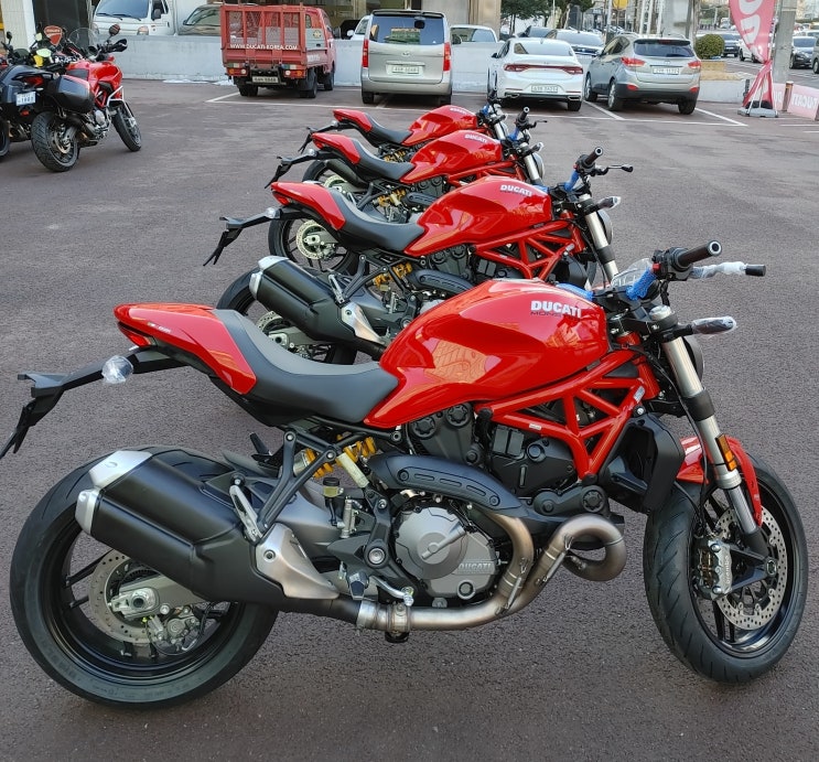  두카티 몬스터 821 마지막 기회! / DUCATI MONSTER 821 LAST CHANCE