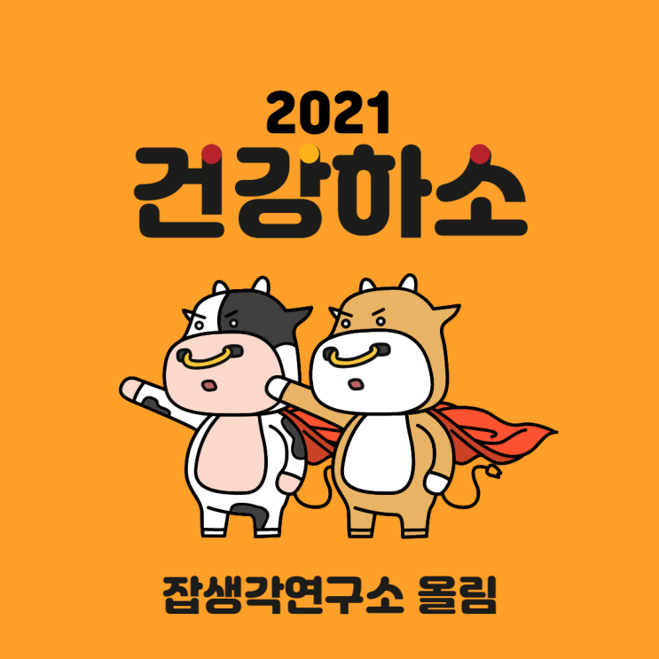  [잡생각연구소] 2021 신축년, 늘 건강하고 행복한 한 해 되시길 바랍니다:D