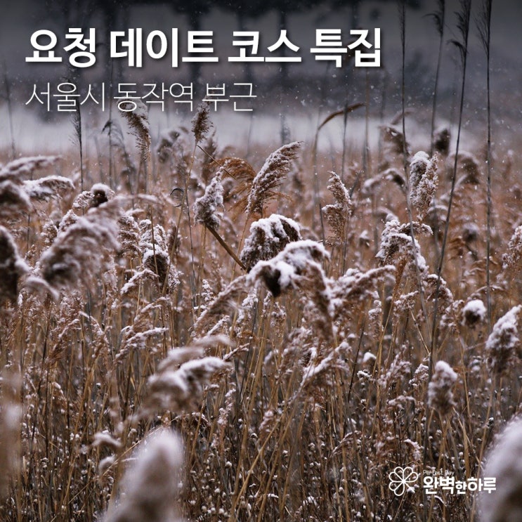  [데이트 코스 추천] 서울시 동작구